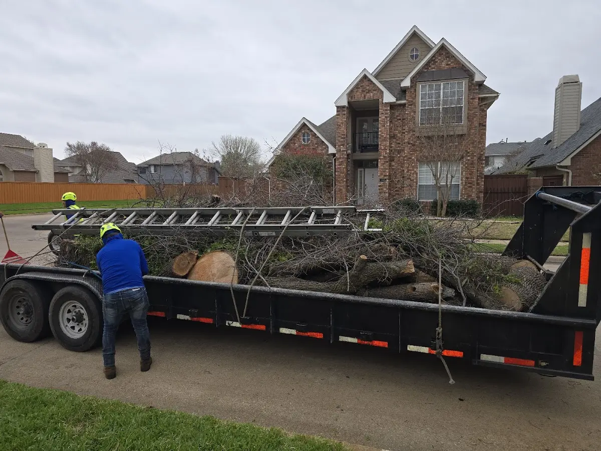 Expert Tree Fertilization with proper safety equipment in Garrison